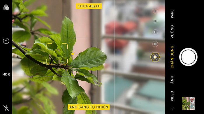 Chú ý đến góc chụp khi chụp ảnh