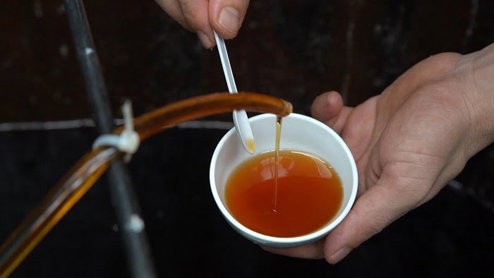 Nước mắm được vận chuyển hành không theo dạng hành lý ký gửi